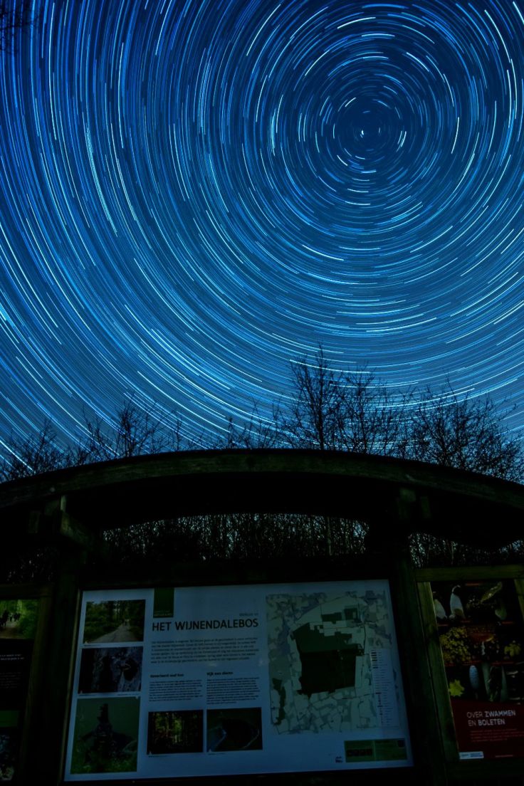 Sterrenspoor Wijnendale bos