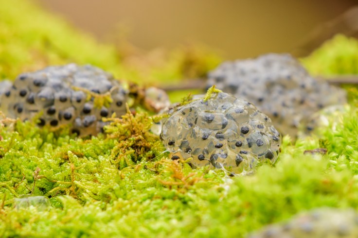 20180316-20180316-KML_4589