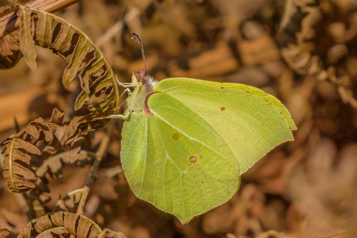 20180324-20180324-KML_6656